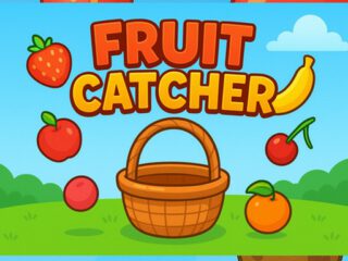 Fruit Catchere