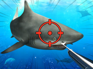 Hunter Underwater Spearfishing